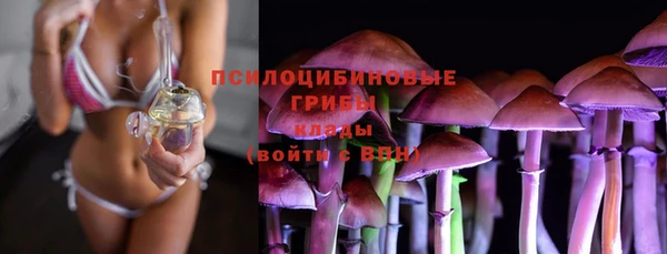 героин Алзамай