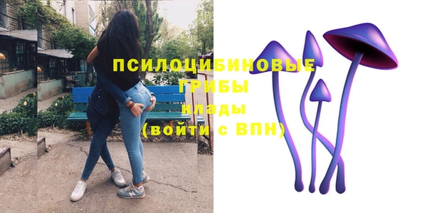 a pvp Алексеевка