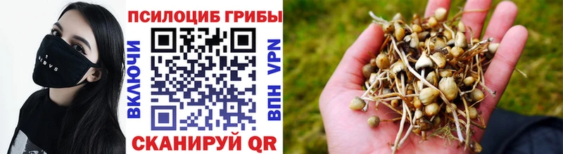 Галлюциногенные грибы ЛСД  даркнет сайт  Петров Вал 